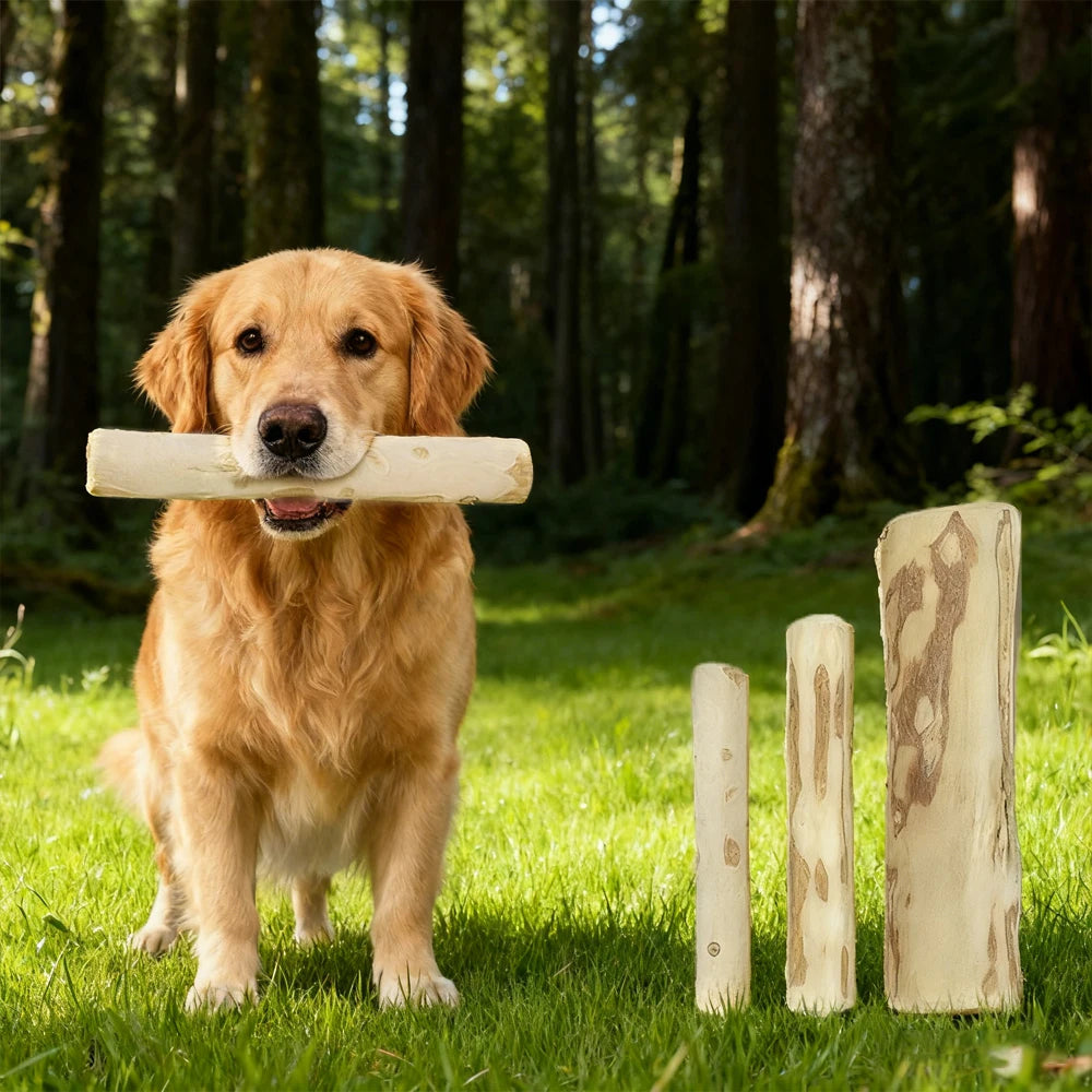 NatureNose™ Sustainable Coffee Wood Chew