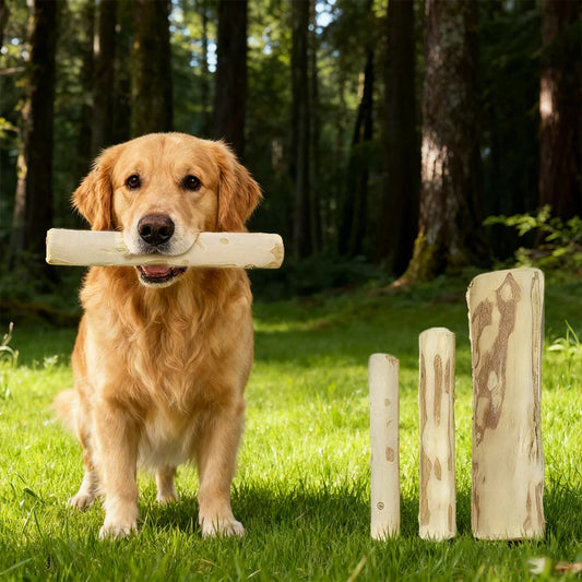 NatureNose™ Sustainable Coffee Wood Chew