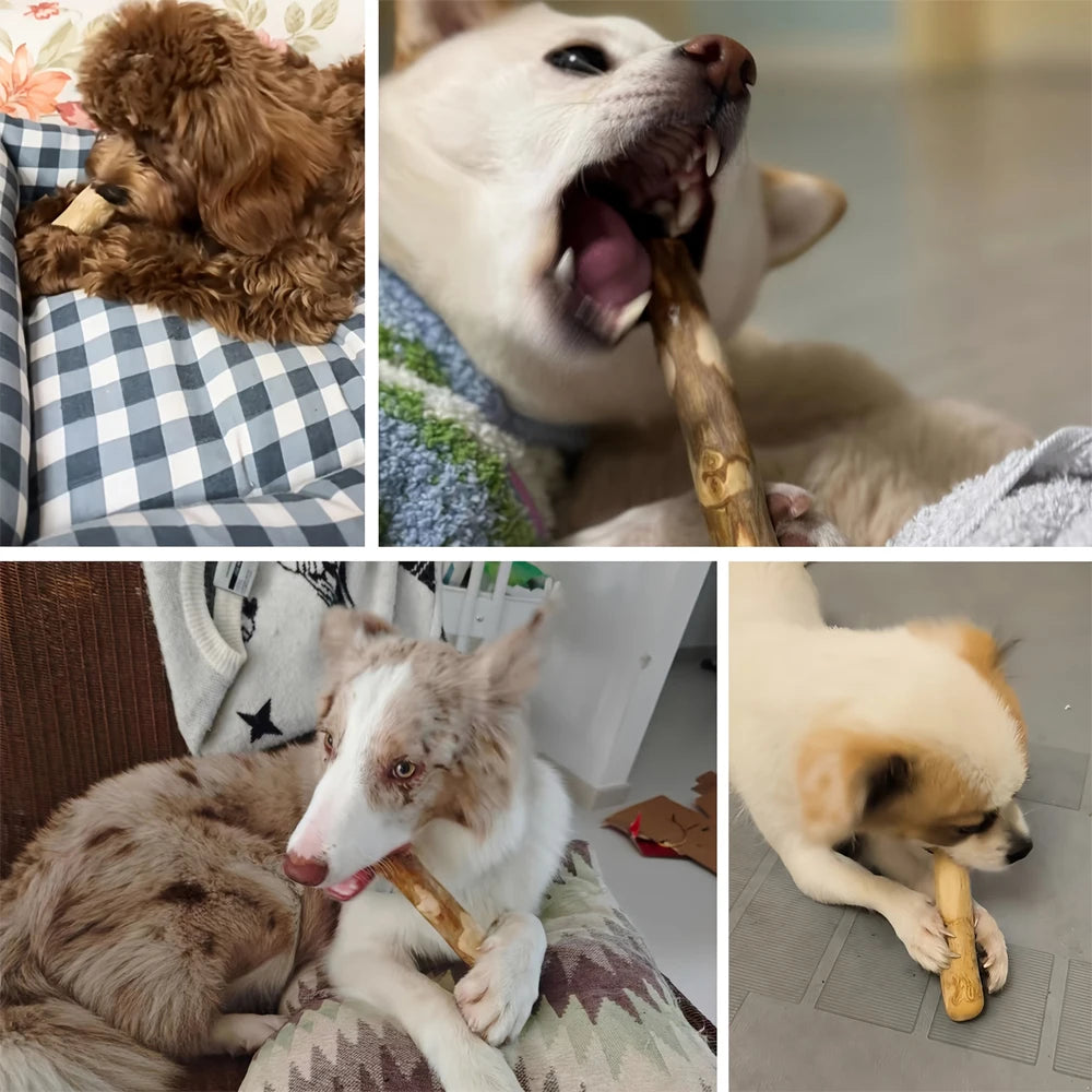 NatureNose™ Sustainable Coffee Wood Chew