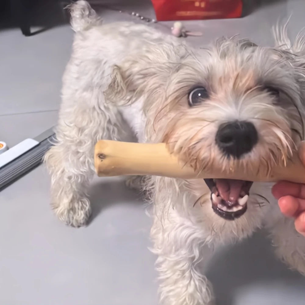 NatureNose™ Sustainable Coffee Wood Chew